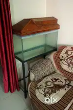 2.5 ft aquarium with stand and wooden cover,
