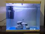 Imported Fish tank with filter for sale