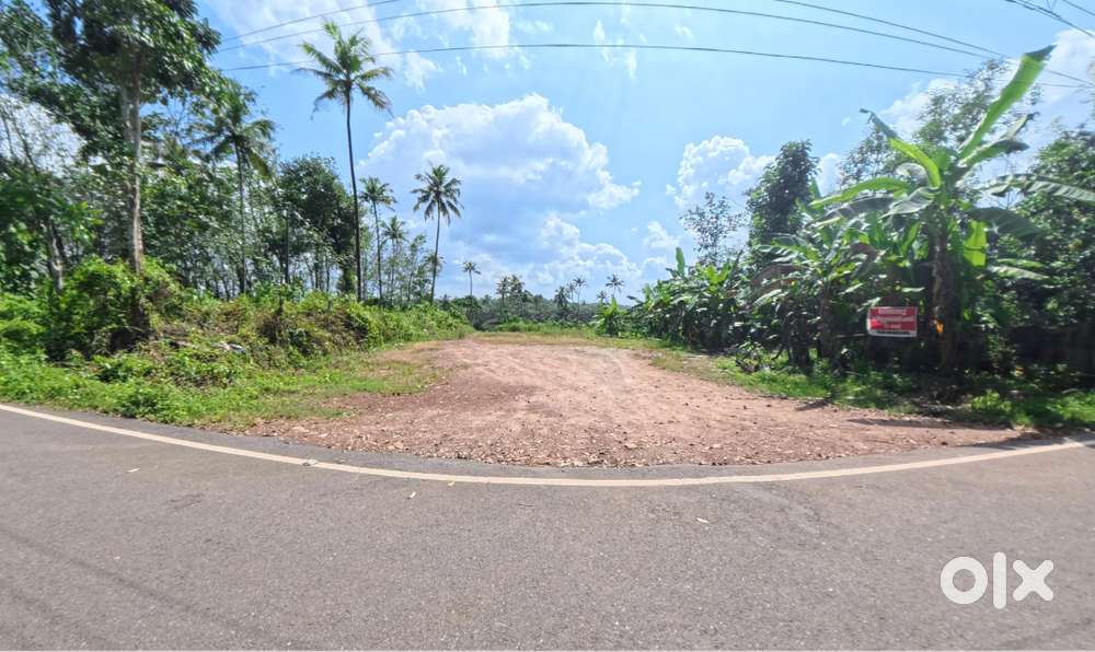 75 Cent Land for Sale at Nilamel  Road Access