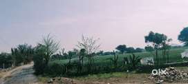 1000 sq yds Farm House Land Available for sale in Sikar Road Jaipur