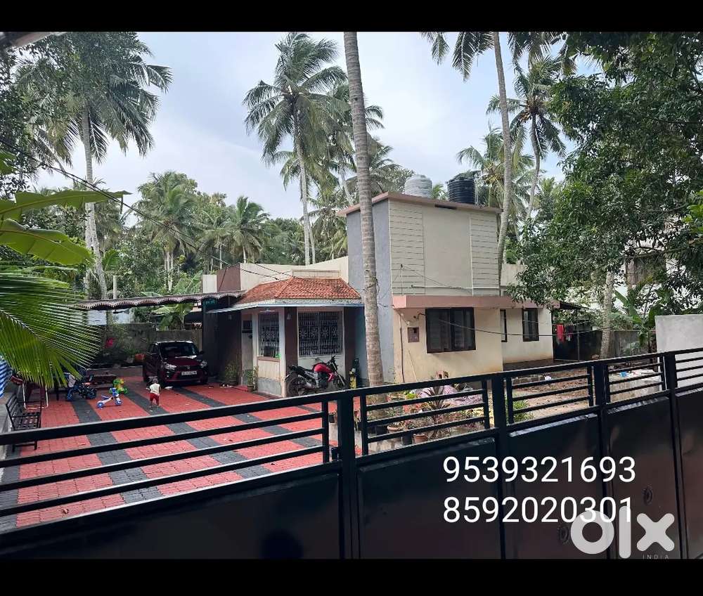11 .5 cent land  and 3 bhk house