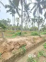 25CENT PLOT KAZHAKKOOTTAM TECHNOCITY MANGALAPURAM