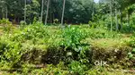60 cent plot for sale