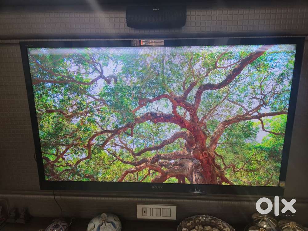 Sony Bravia 55 Inches Non-Smart LED TV