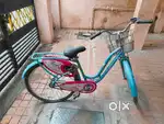 Lady bird cycle