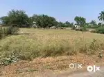 Land for lease and rent