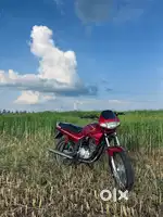 Suzuki fiero