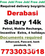 Parcel delivery dera Bassi