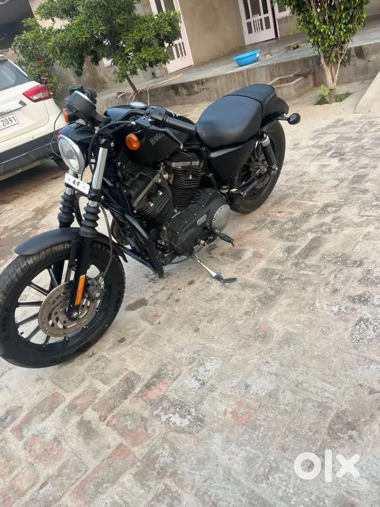 Harlay davidson iron 883