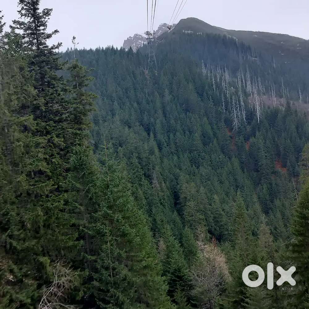 1 bhk with big hall and open kitchen and bathroom for rent only girls