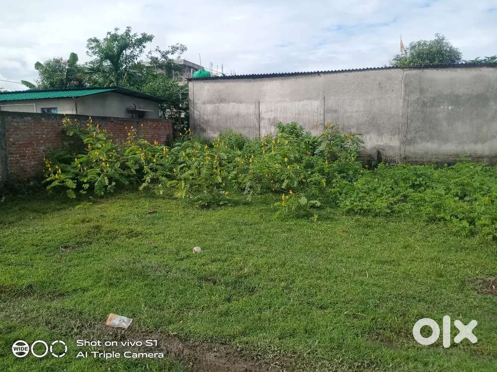 Small land