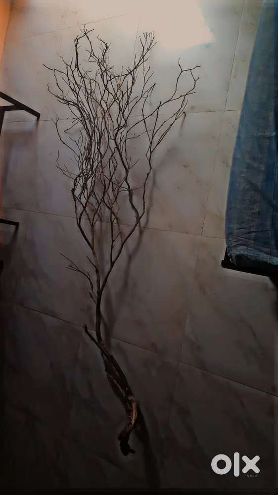 Tree sculpting / deadwood art