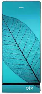 Haier Holy Leaf Single Door