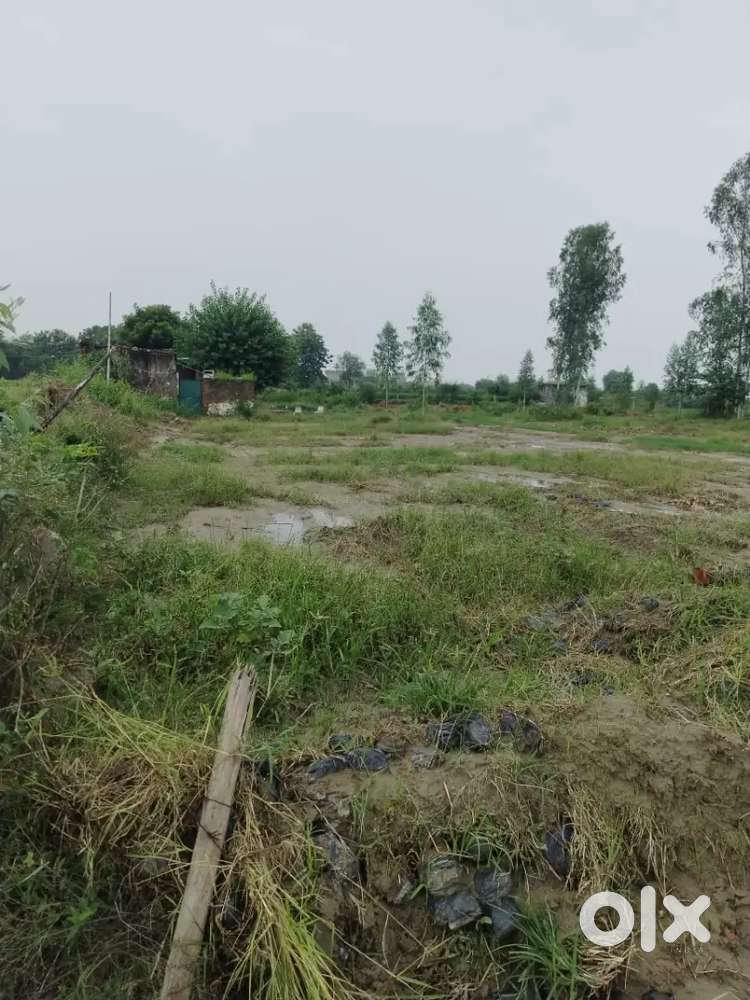 Cheapest रेट of Freehold plot for सेल in noida sector145 only18000/गज