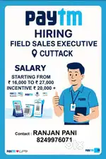 Field sales executive