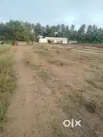 ஒரு சென்ட் 1.5 லட்சம் முதல் அவிநாசி லிங்கம் பாளையம்