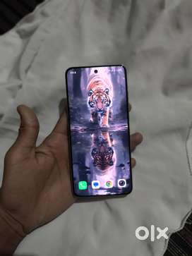 Vivo X200 12 gb 256 gb forest green