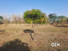 Tar Road front 367 var plot for sale at devargav near kashyapi dam