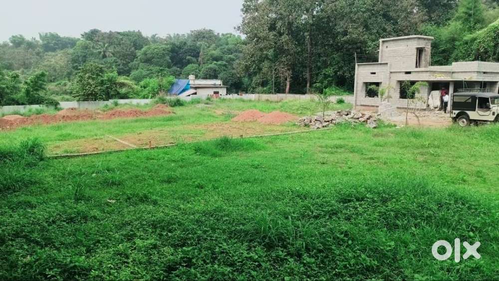 PLOTS FOR SALE - Manissery, Close to Hospitals & Colleges