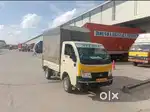 ### freshers and male canditates only applied for warehouse jobs quick