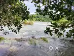 River side land at athirapilly