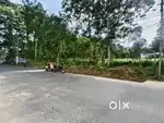 1 km Vizijam port 85 Cent Main road side Commercial plot 25 lakhs cent