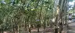 Rubber plot for sale