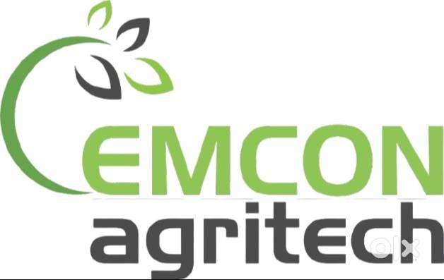 Data Entry & Back Office