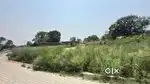 Land Rent – ₹55,000 per month for 1 Kanal (Palakwah, District Una)