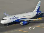 APPLY URGENT AIRPORT JOBS INDIGO AIRLINES GROUND STAFF & CABIN CREW
