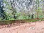 20 CENT  PLOT FOR SALE NEAR PUTHUPALLY RUBBER BOARD