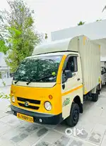 2022 ace gold cx closed body