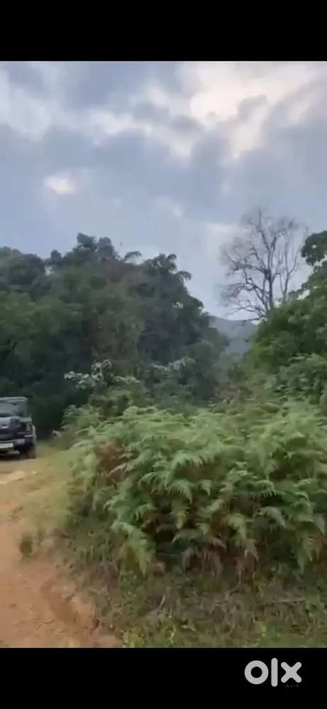 Premium 150acre estate with river flat terrain and excellent views