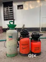 PEST SOLUTION NETWORKS