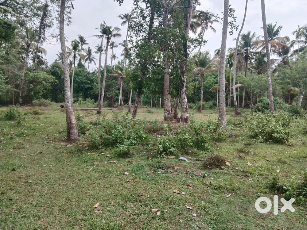 16 cent plot only 15lakhs