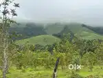 1 Acre Beautiful Hill View Land – Mudigere