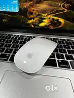 Magic mouse 2
