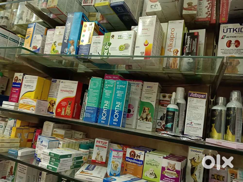 Shopkeeper