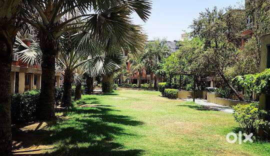 Rent 1BHK Furnished Atlantis Park, Agora IPR Tapovan Bhat Koba EDI