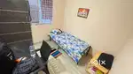 Need a Roommate
