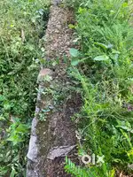25 Cent square plot near Threpetta temple