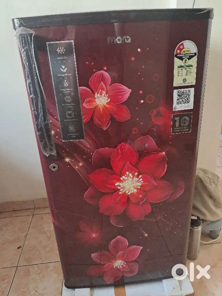 2 month old Fridge