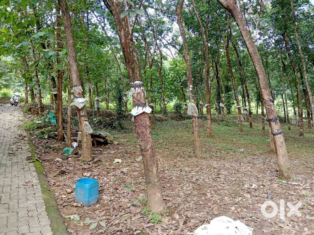 76 cents of Land for Sale