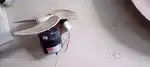 Kadhai fan