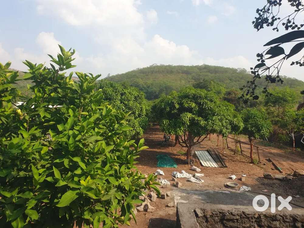Agriculture land on Rent for Hotel, Bar Resort, goat farming, poultry