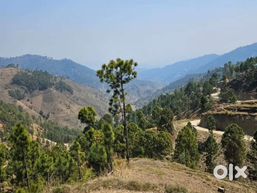 1 Nali Land with House