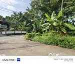 Plot for Sale near Nadathara Thrissur Bus Route, 3.95 lacksper 1 Cent