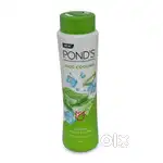 Ponds powder company job