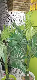 Artificial Aerica Palm trees