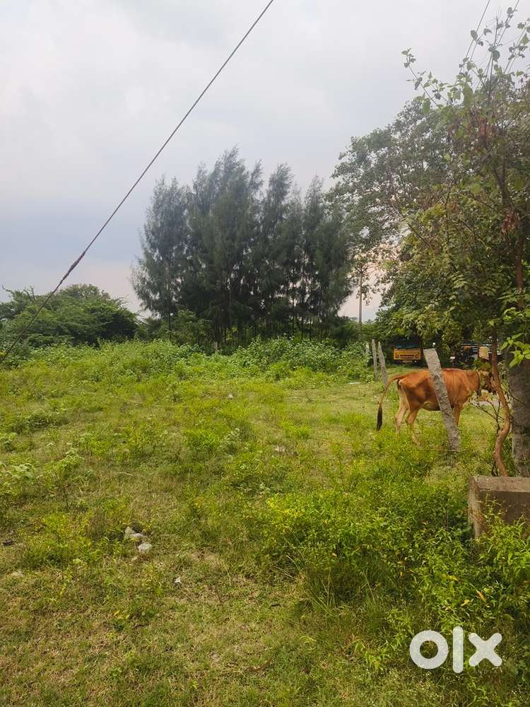 Property near thiruvannamalai temple